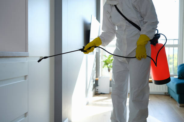Best Mold Cleaning Services  in Elk Mound, WI